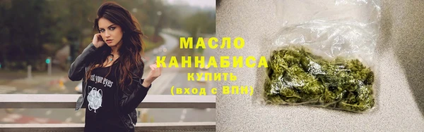 гидра Карпинск