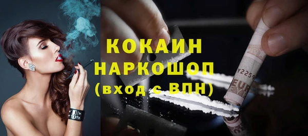 гидра Карпинск