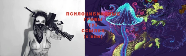 ECSTASY Киреевск