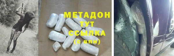 гидра Карпинск
