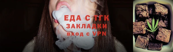 гидра Карпинск