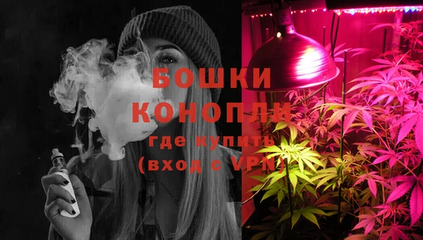 гидра Карпинск