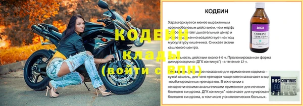 гидра Карпинск