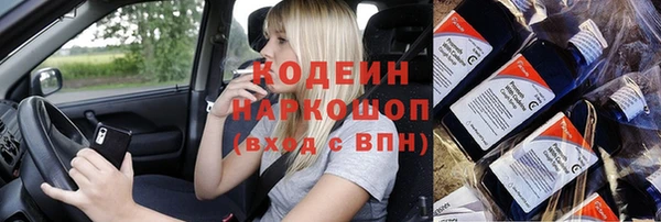 гидра Карпинск