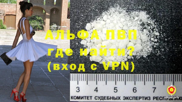 гидра Карпинск