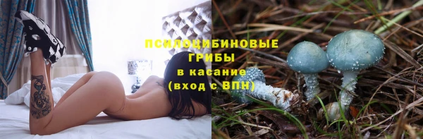 гидра Карпинск