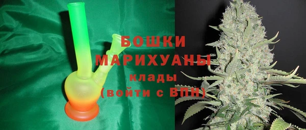 гидра Карпинск