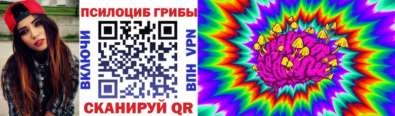 Псилоцибиновые грибы Psilocybine cubensis  Купить  Тула 